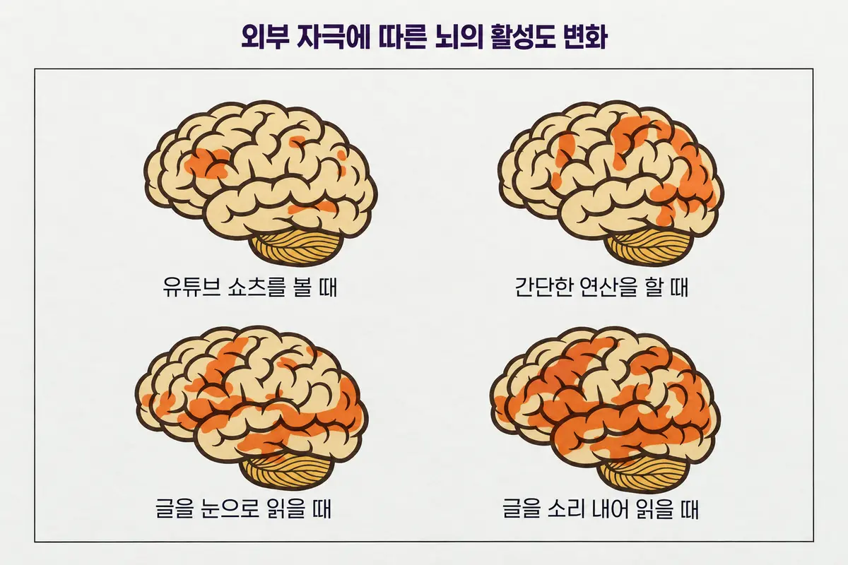 외부 자극에 따른 뇌의 활성도 변화를 설명한 그림